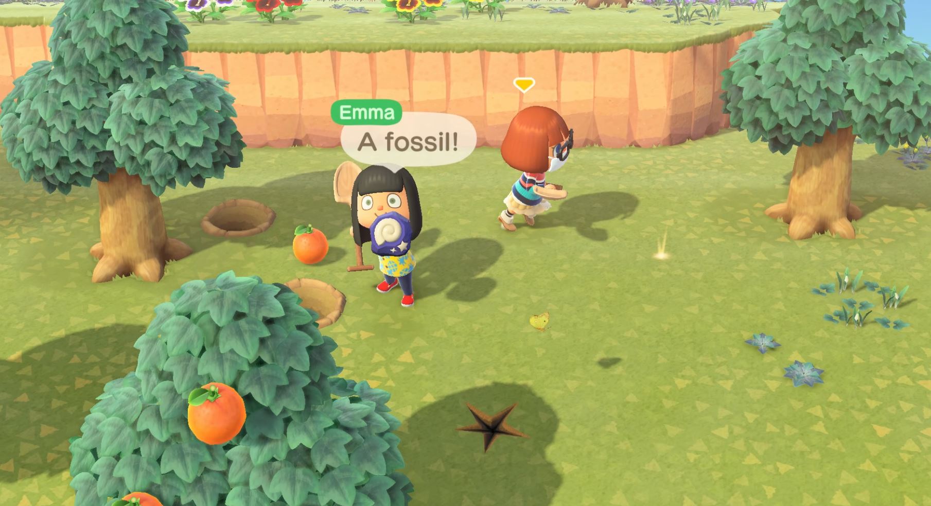 animal crossing game system