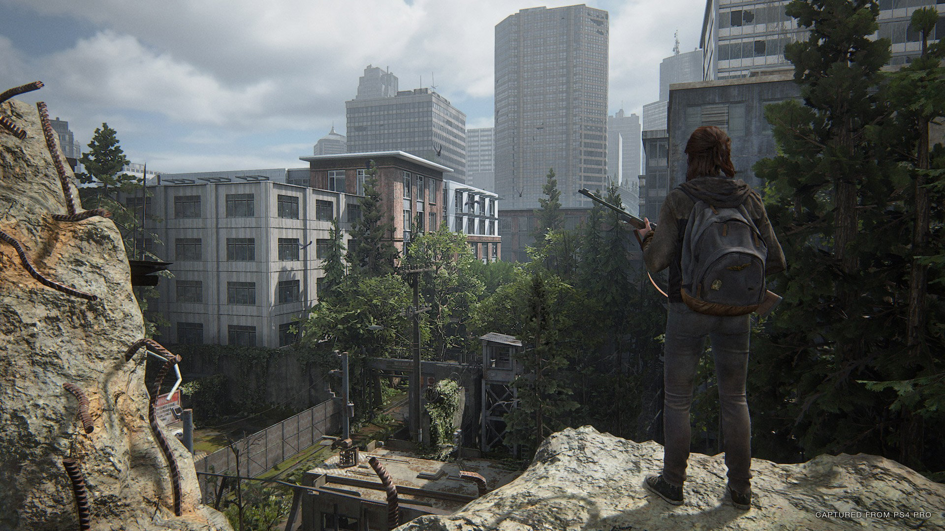 June 2020 NPD: The Last of Us Part II has best U.S. launch month of the  year