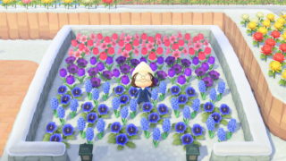 VGC’s Game of the Year: Animal Crossing: New Horizons