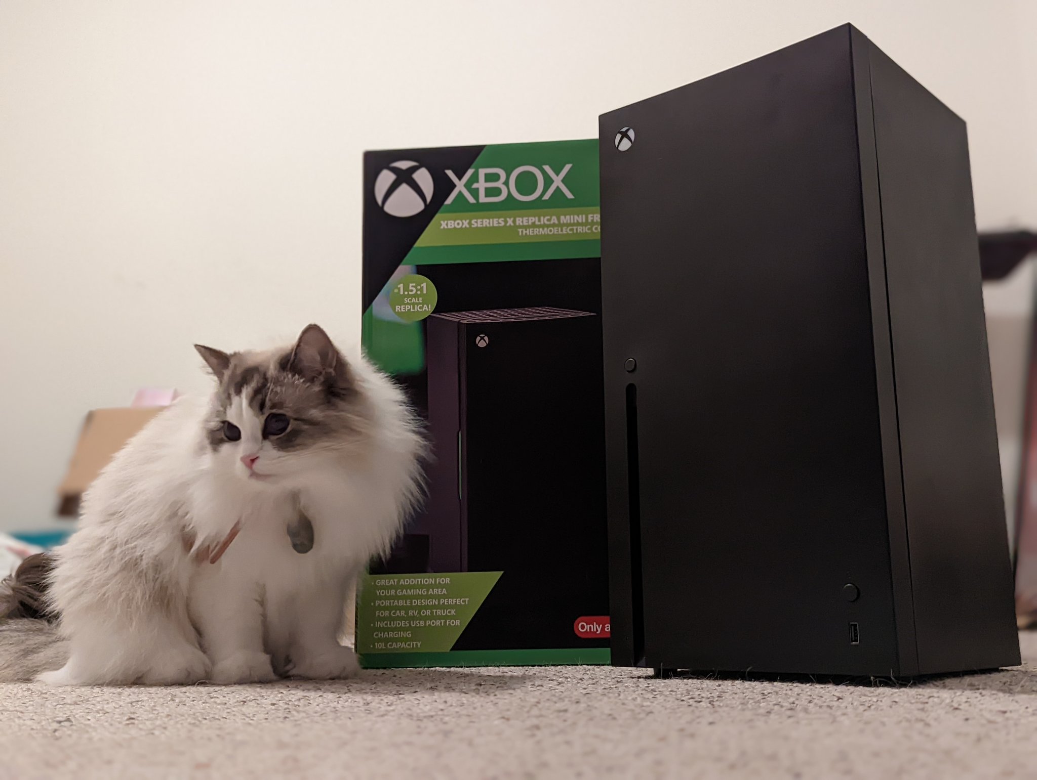 https://www.videogameschronicle.com/files/2021/11/xbox-mini-fridge-cat.jpg