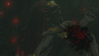 Gallery: Nintendo releases 27 new Zelda: Tears of the Kingdom screenshots