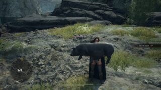 Dragon’s Dogma 2 is the most vital action RPG since Elden Ring