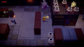 Zelda: Echoes of Wisdom feels like a top-down Breath of the Wild