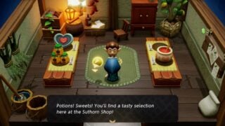 Zelda: Echoes of Wisdom feels like a top-down Breath of the Wild