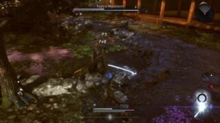 Nioh 3: Nothing Left To Learn trophy guide