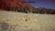 Crimson Desert: Traces in the Manor – the secrets of Glenbright Manor guide