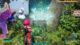 How to get to the World Tree Palworld 1.0 guide screenshot