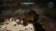 Halo Campaign Evolved The Silent Cartographer Skulls and Terminal locations guide screenshot