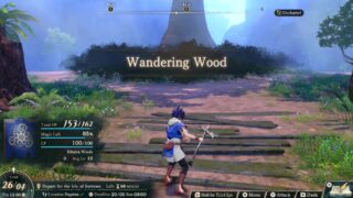 Fire Emblem Fortune’s Weave: Wandering Wood dungeon guide