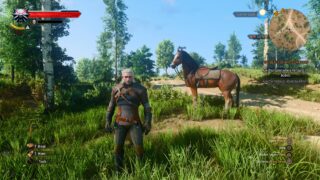 Witcher 3 Remastered: Should you use Enemy Upscaling?